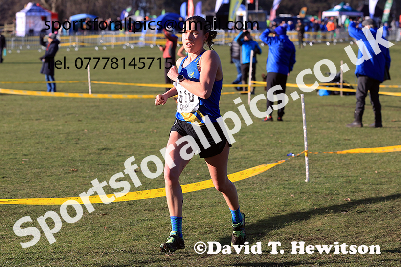 Senior womens 2025 Northern Cross Country Champs, Tatton Park, Knutsford, Cheshire. Photo: David T. Hewitson/Sports for All Pics